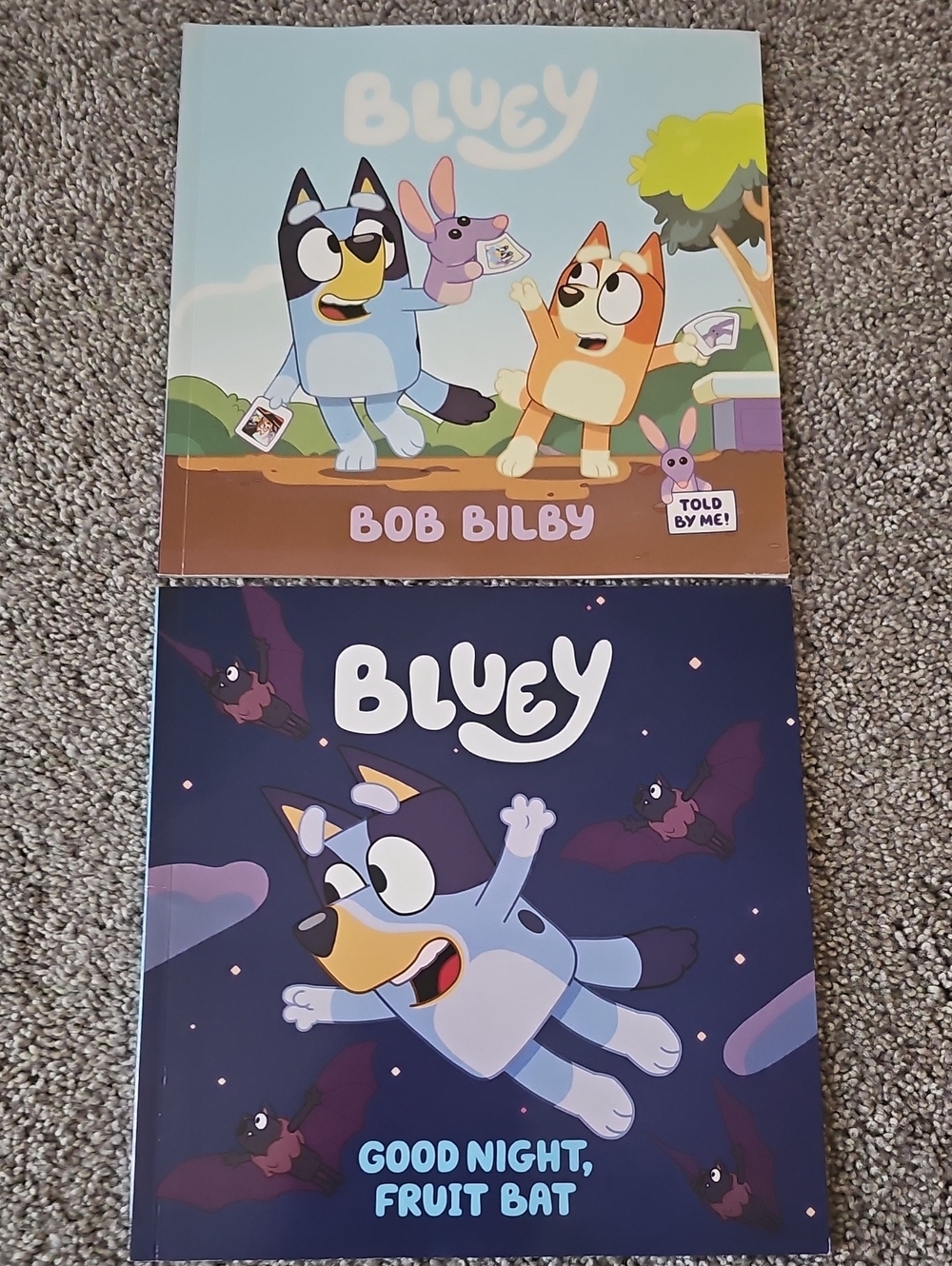 J3🔹️6Bluey Children's Books Set of 2